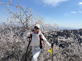 mmexport1743242158437