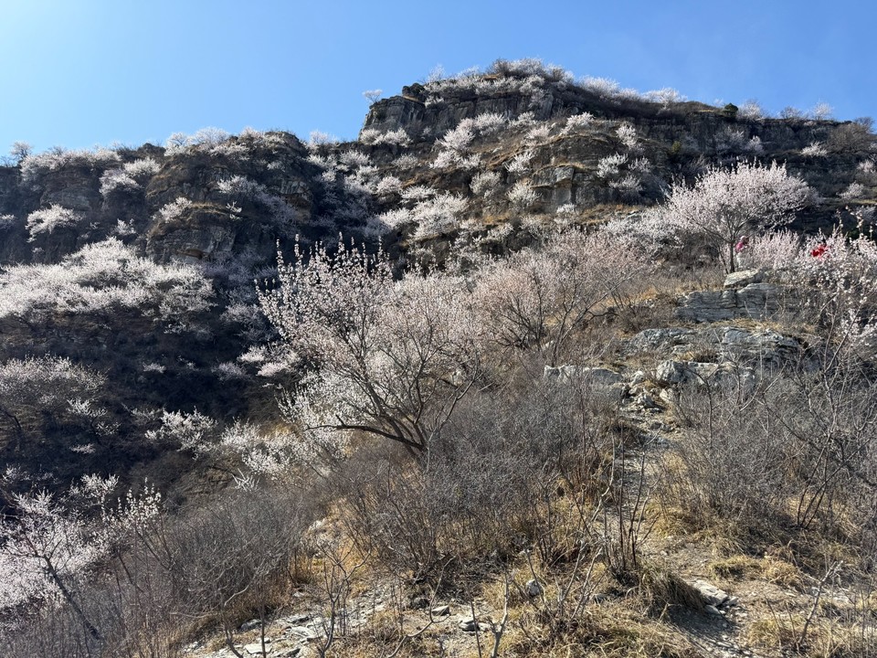 mmexport1743242133318