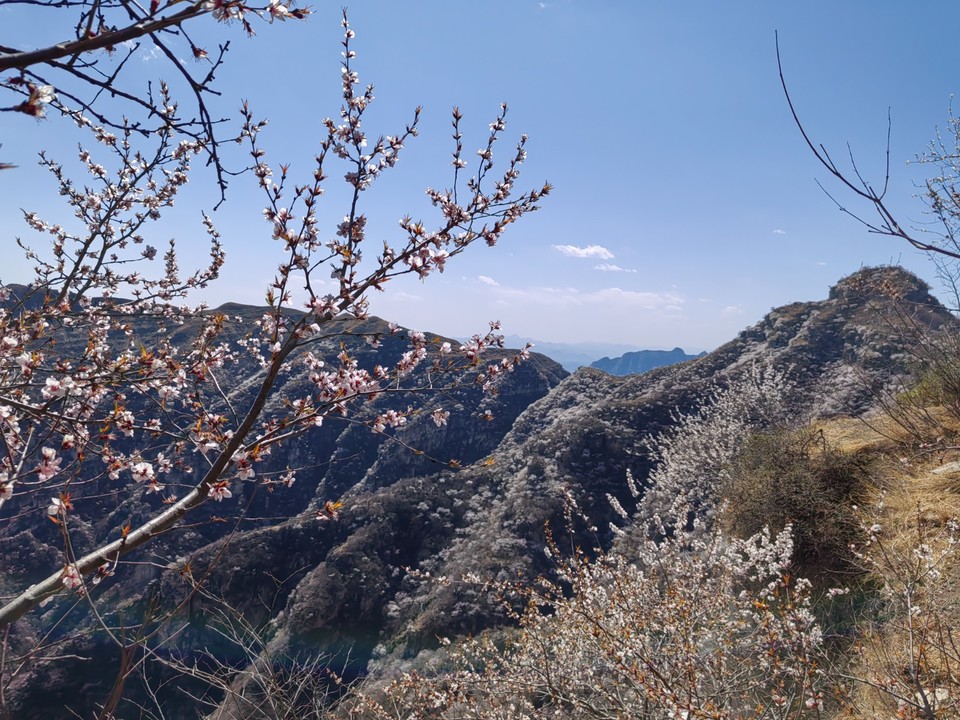 mmexport1743242037503