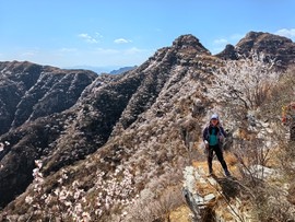 mmexport1743242056038