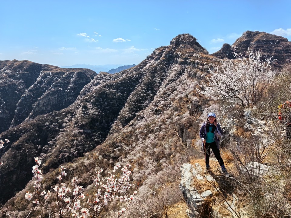 mmexport1743242056038