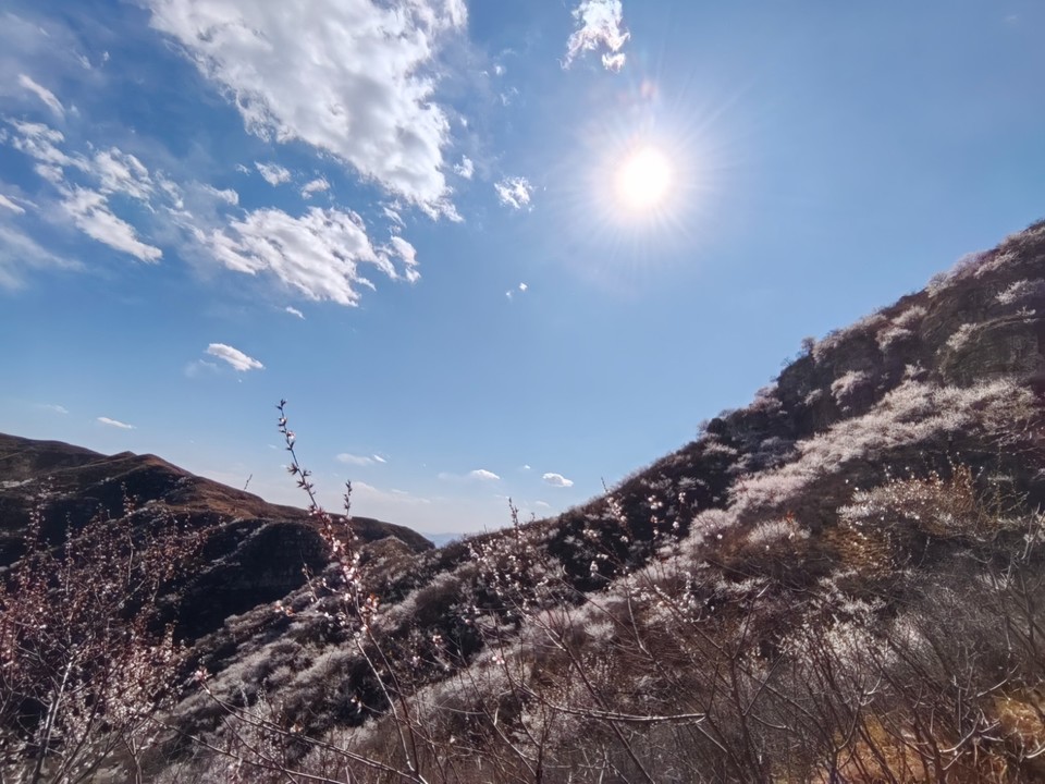 mmexport1743242080771