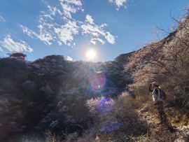 mmexport1743242096365