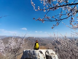 mmexport1743241994557