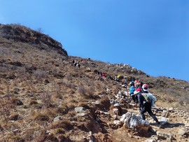 mmexport1743241976226