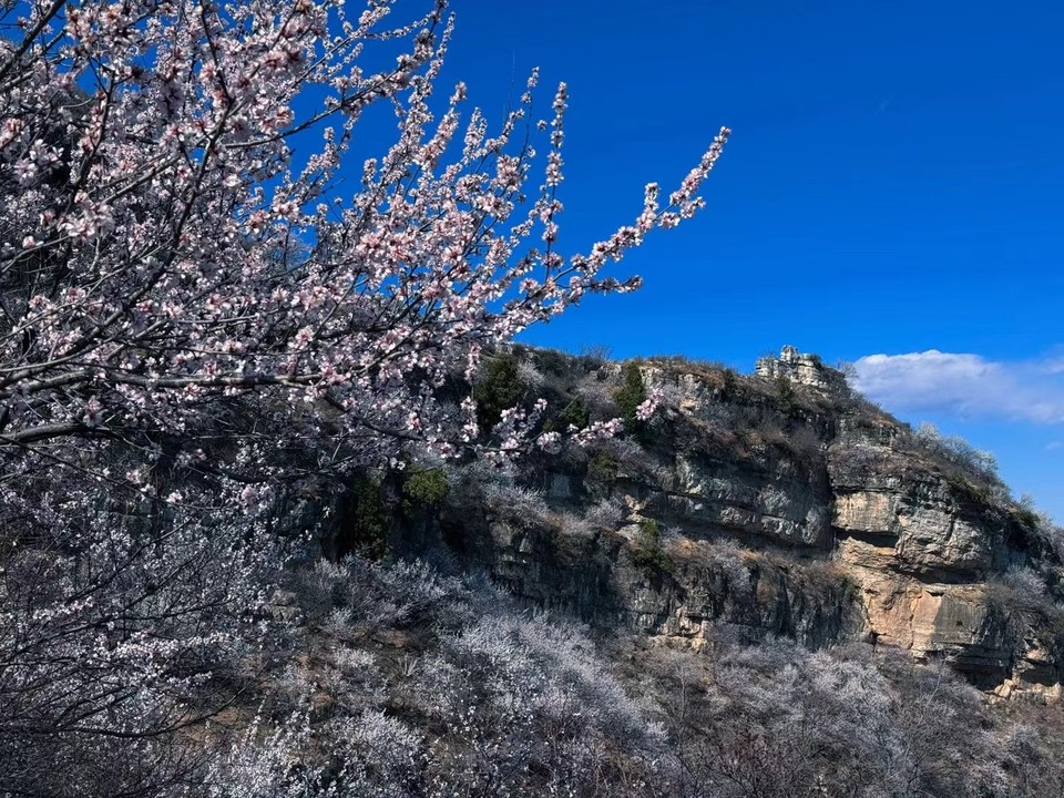 mmexport1743241938253