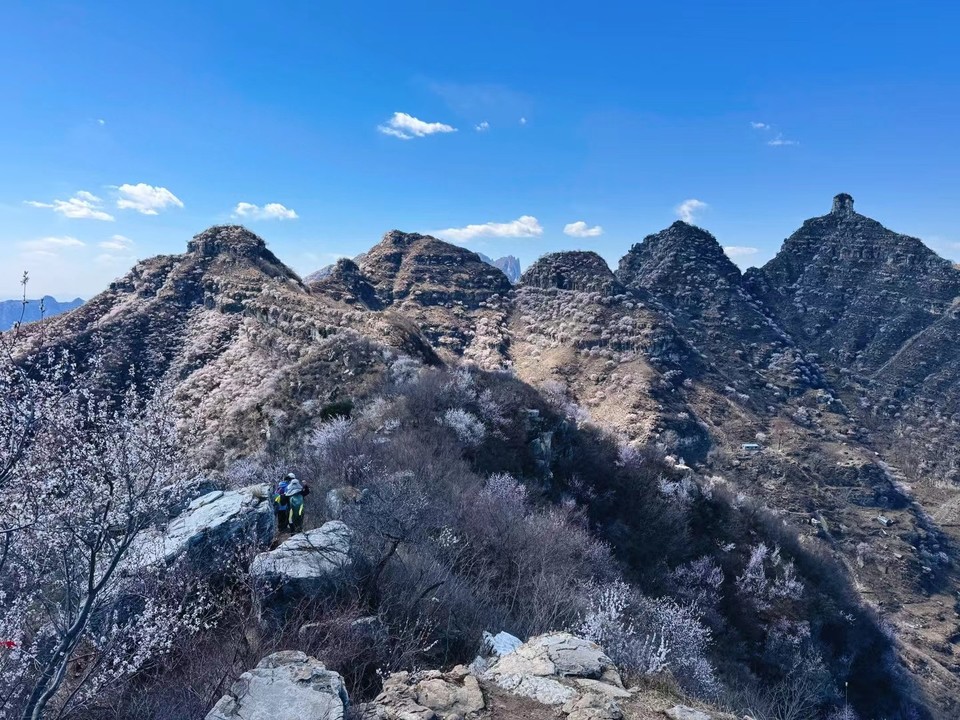 mmexport1743241931895