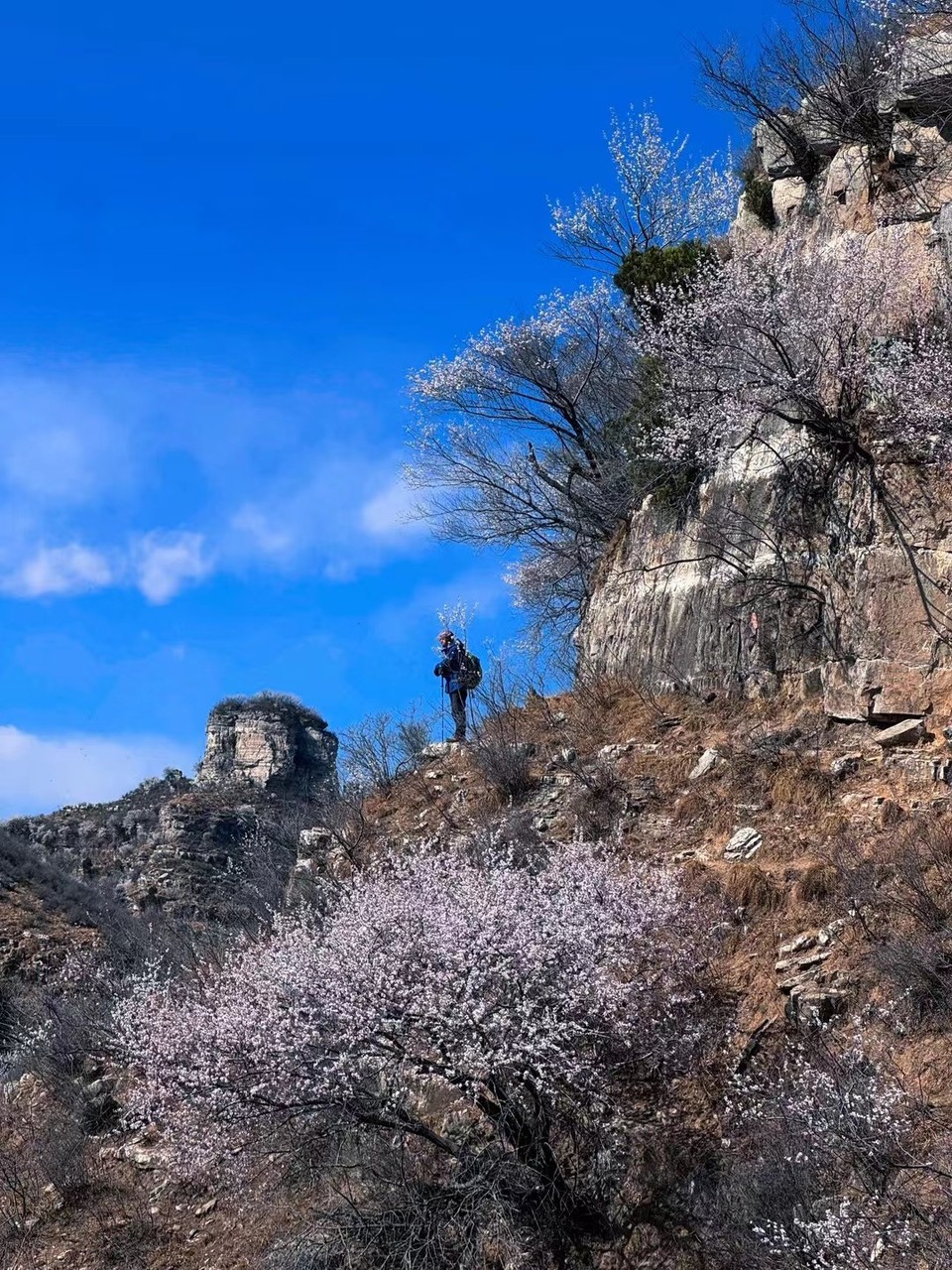 mmexport1743249023991