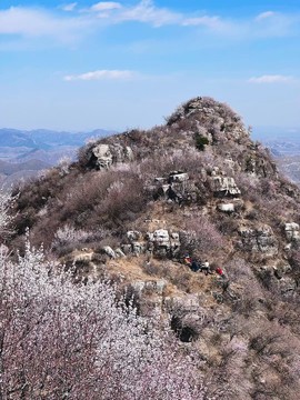 mmexport1743249017827