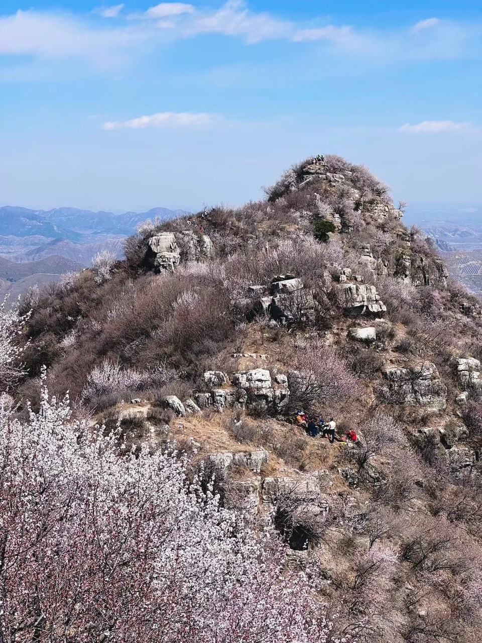 mmexport1743249017827