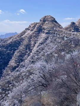 mmexport1743249012056