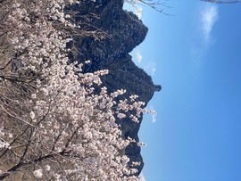 mmexport1743248907853