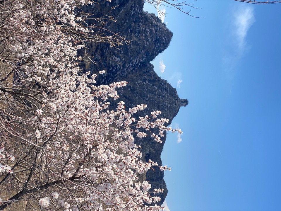 mmexport1743248907853