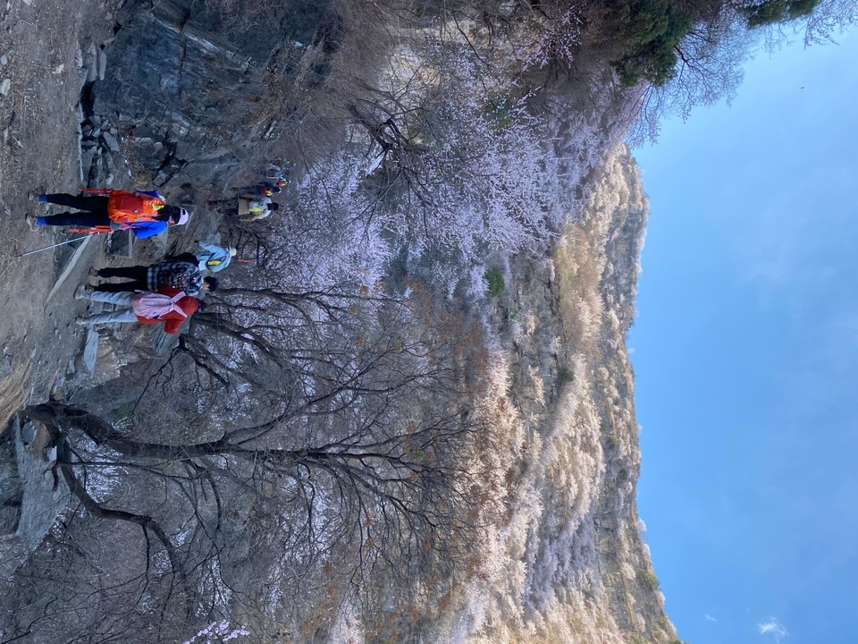 mmexport1743248839825