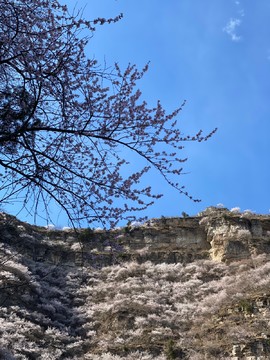 mmexport1743248854679