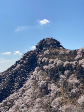 mmexport1743248870535