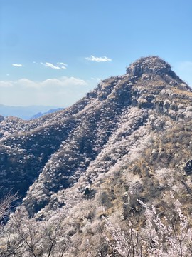 mmexport1743248885321