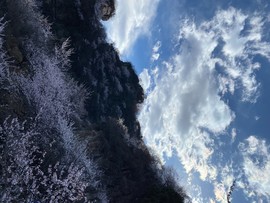 mmexport1743248824977