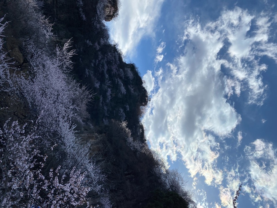 mmexport1743248824977