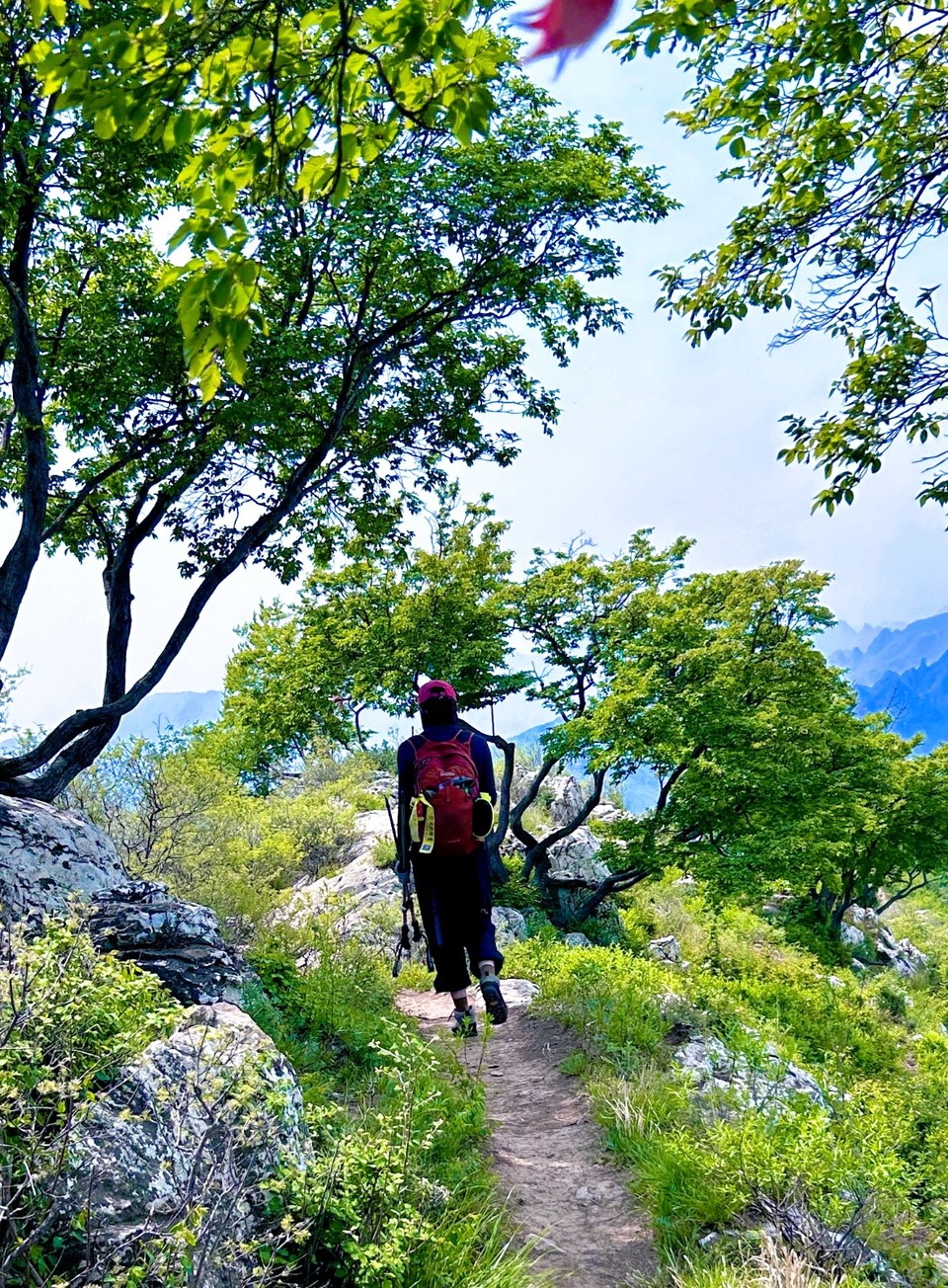 MEITU_20250503_183904030