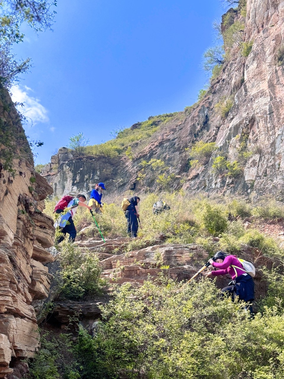 MEITU_20250503_183739137