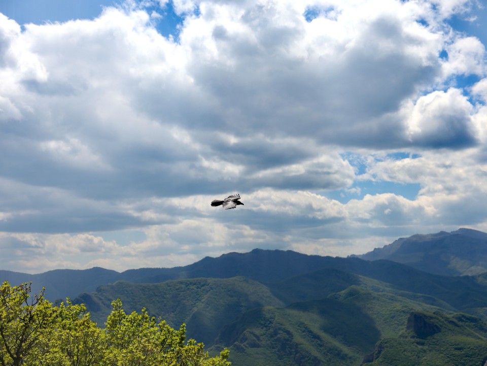 mmexport1747486334342_edit_543767557505046