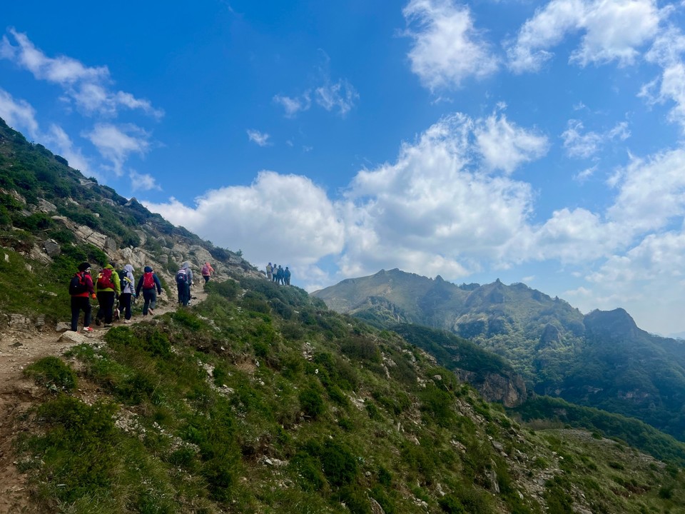 mmexport1747486950583