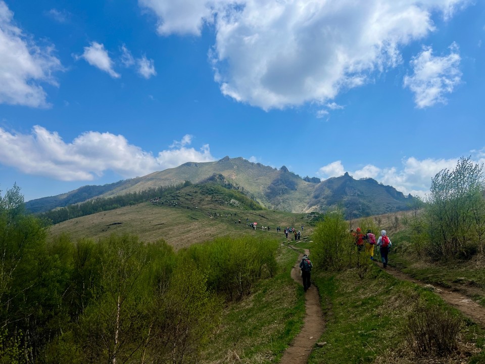 mmexport1747486935718