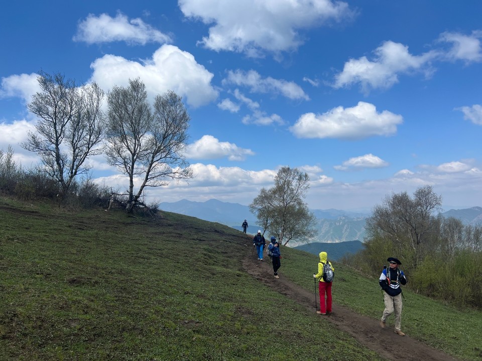 mmexport1747486883466