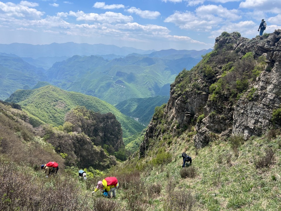 mmexport1747486813733