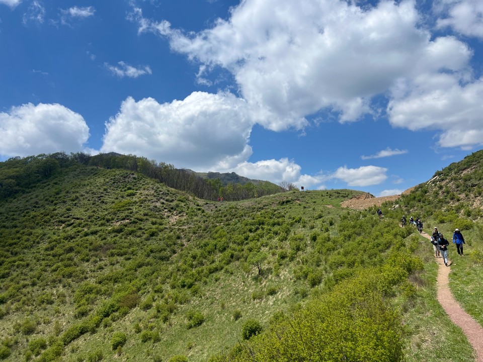 mmexport1747486735628