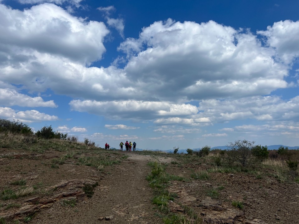 mmexport1747486692348