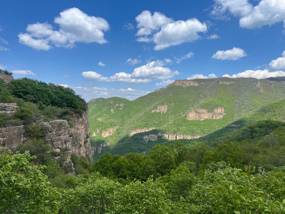 mmexport1747486719854