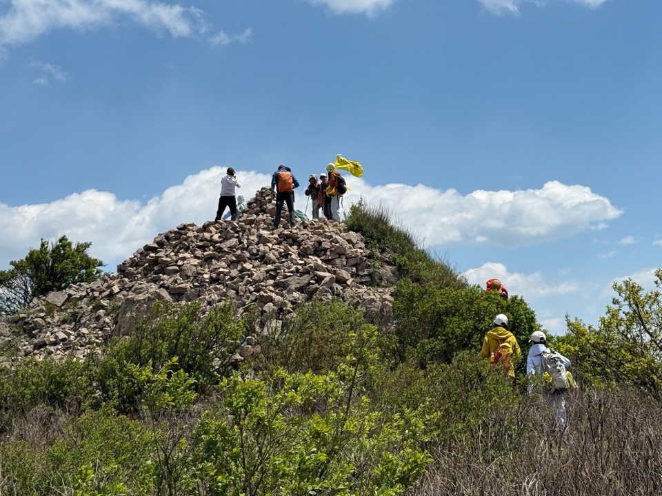 mmexport1747473286816_edit_532375476063555