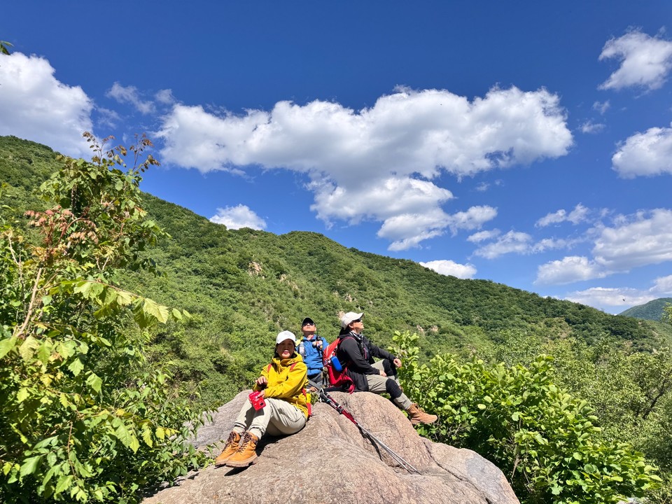 mmexport1747471522585