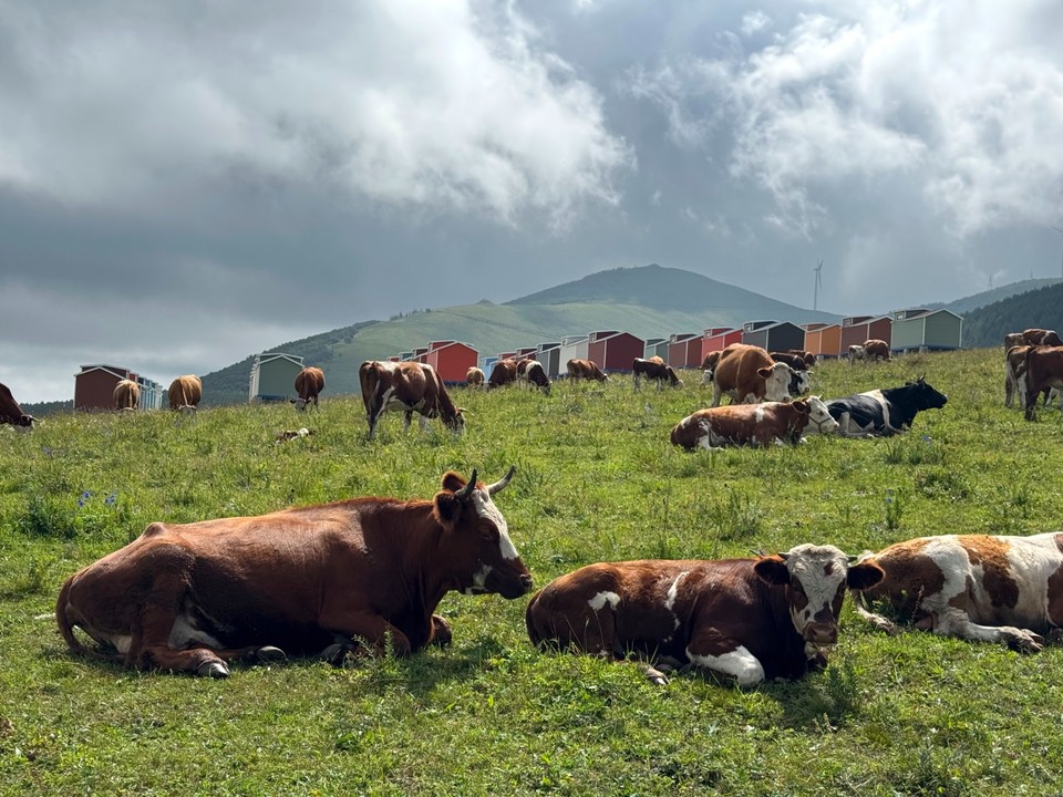 mmexport1755501918393_edit_563972514328523