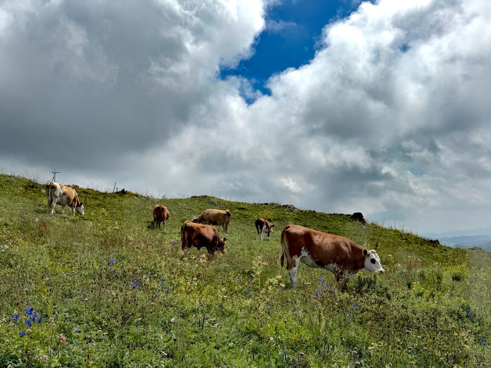 mmexport1755501809949_edit_563946453652486