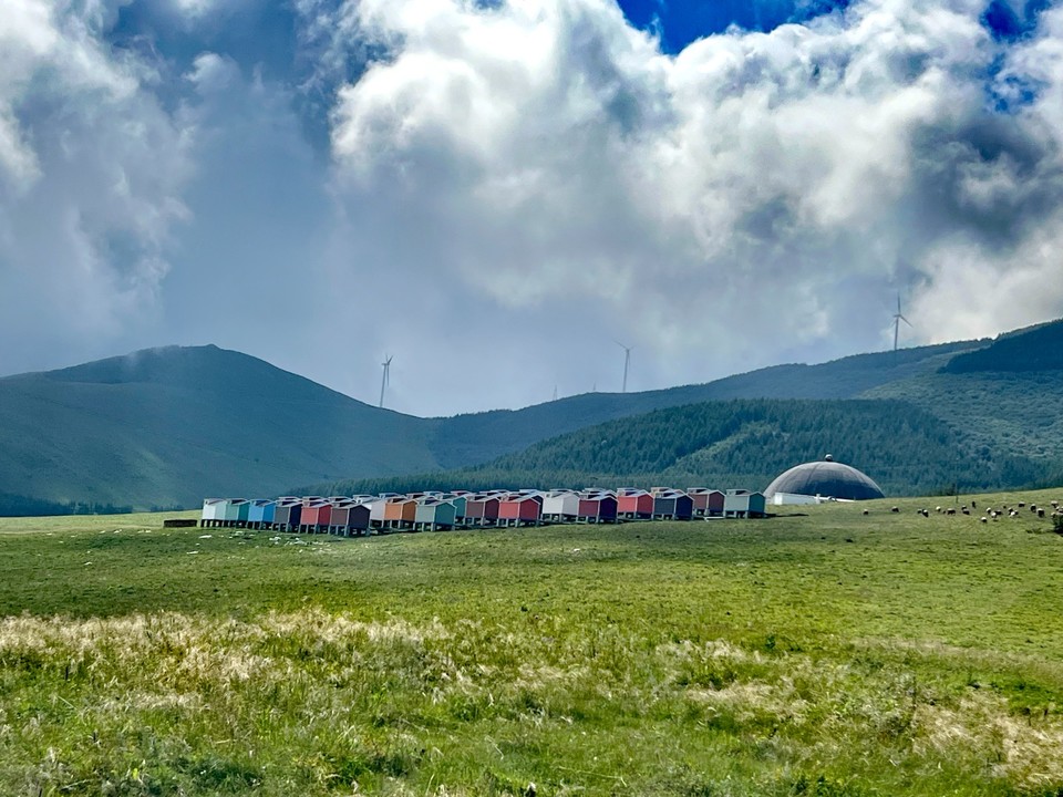 mmexport1755501670569_edit_563905272887909