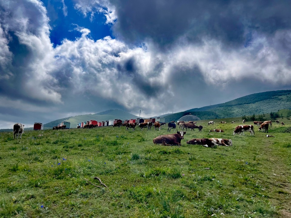 mmexport1755501635886_edit_563897278827493