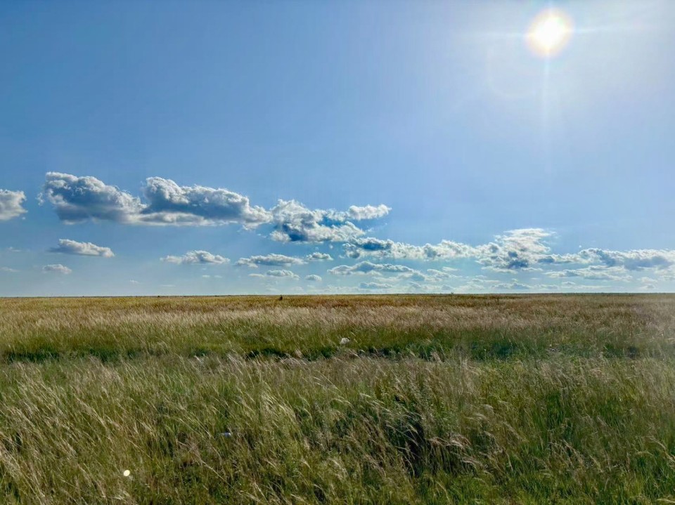 mmexport1755501457250_edit_563845736158230