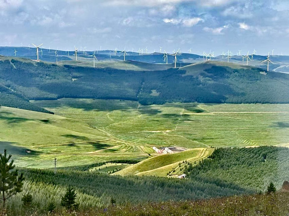 mmexport1755501419028_edit_563812139340527