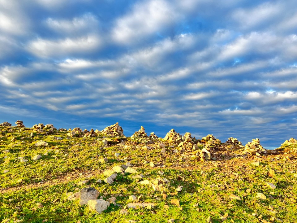 mmexport1756027519457