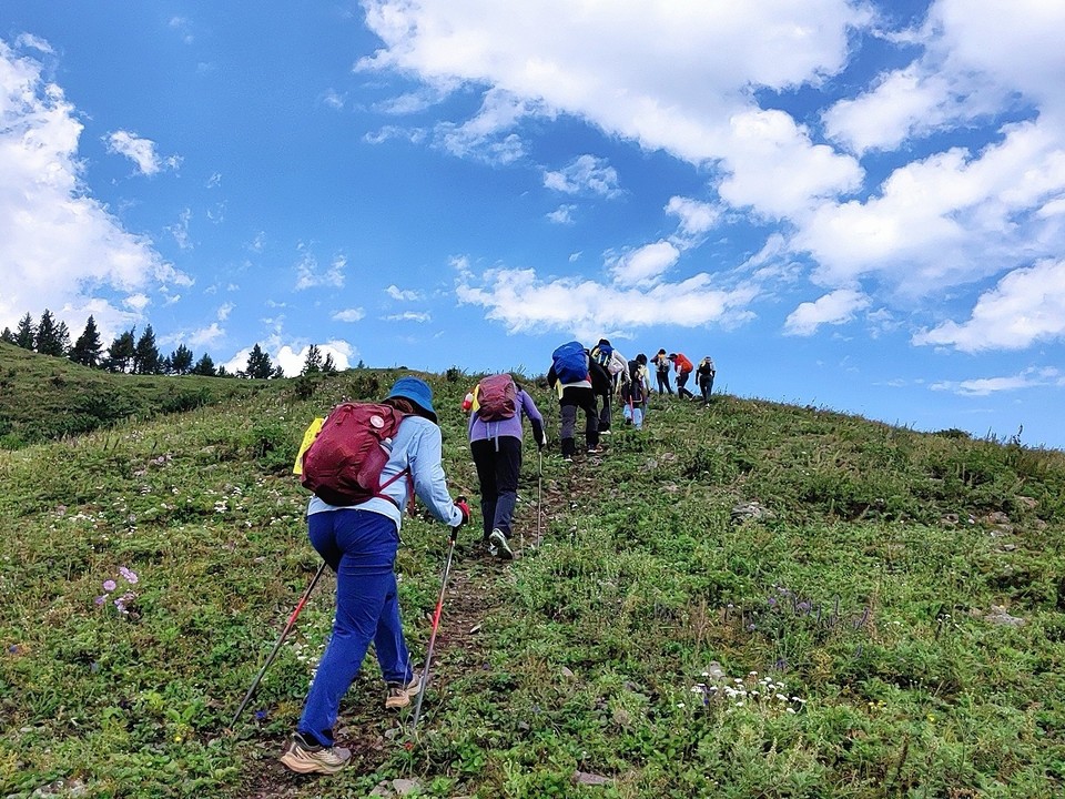 mmexport1756604927300_edit_499288959952457