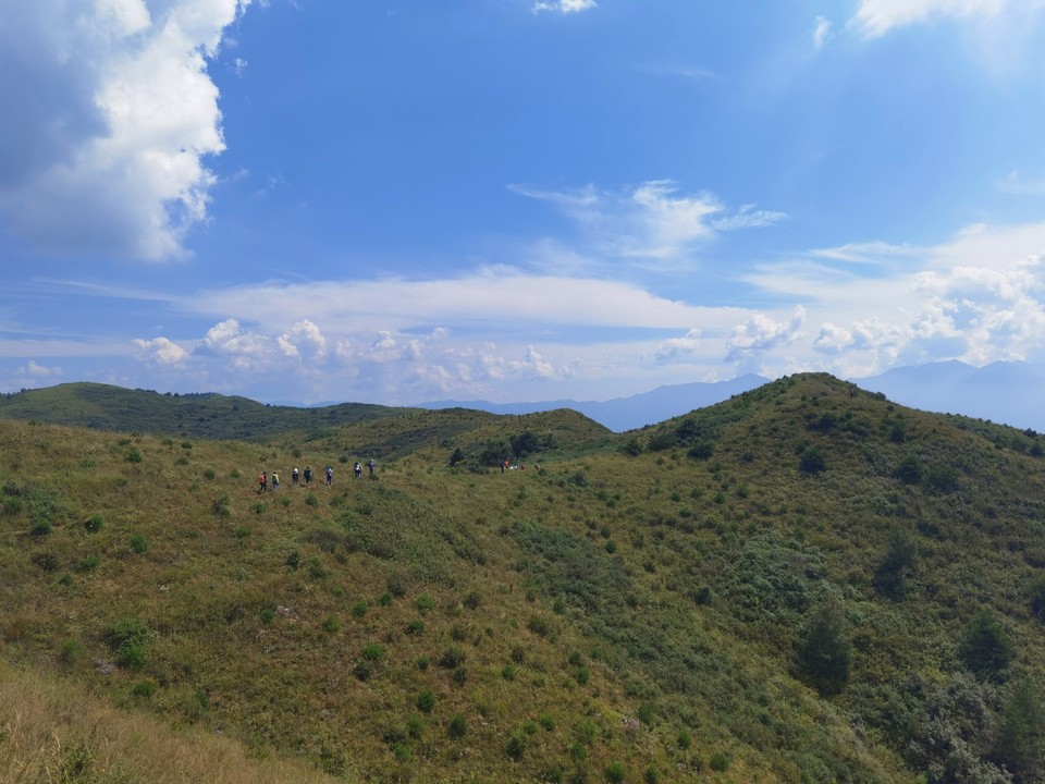 IMG_20250830_125414_edit_499351170017031