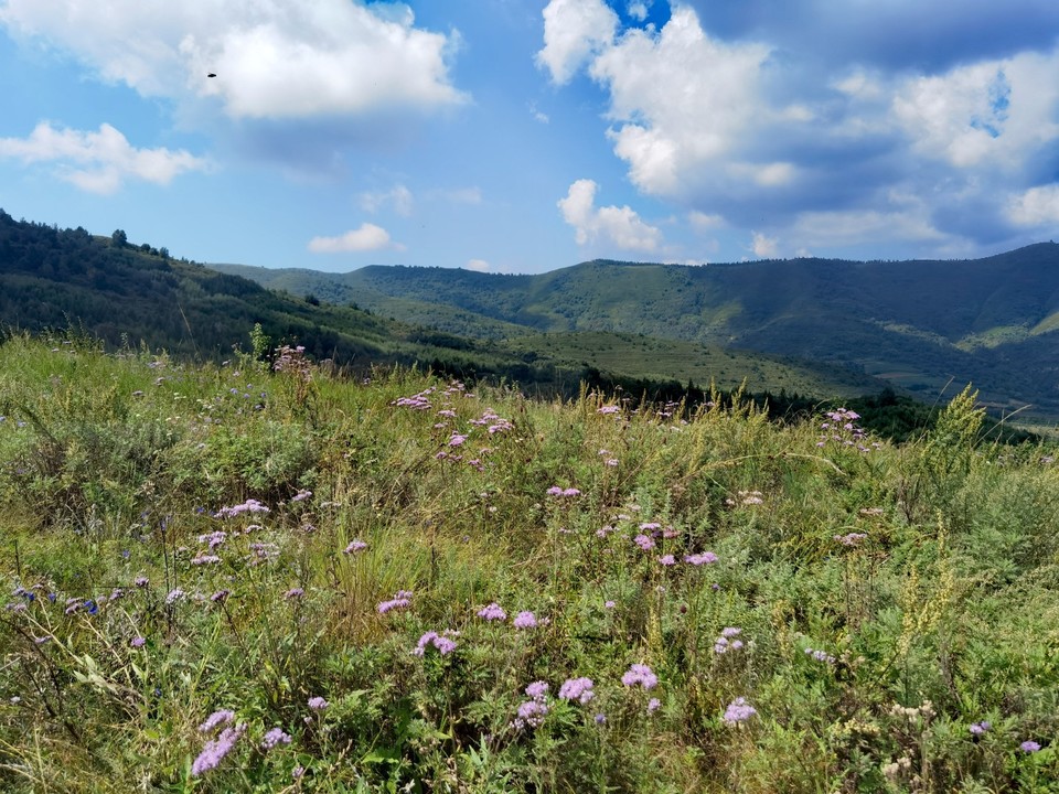 IMG_20250830_111025_edit_499453664295140