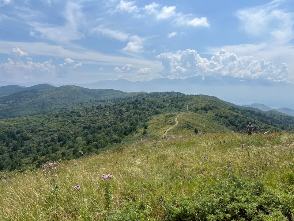 mmexport1756604749950