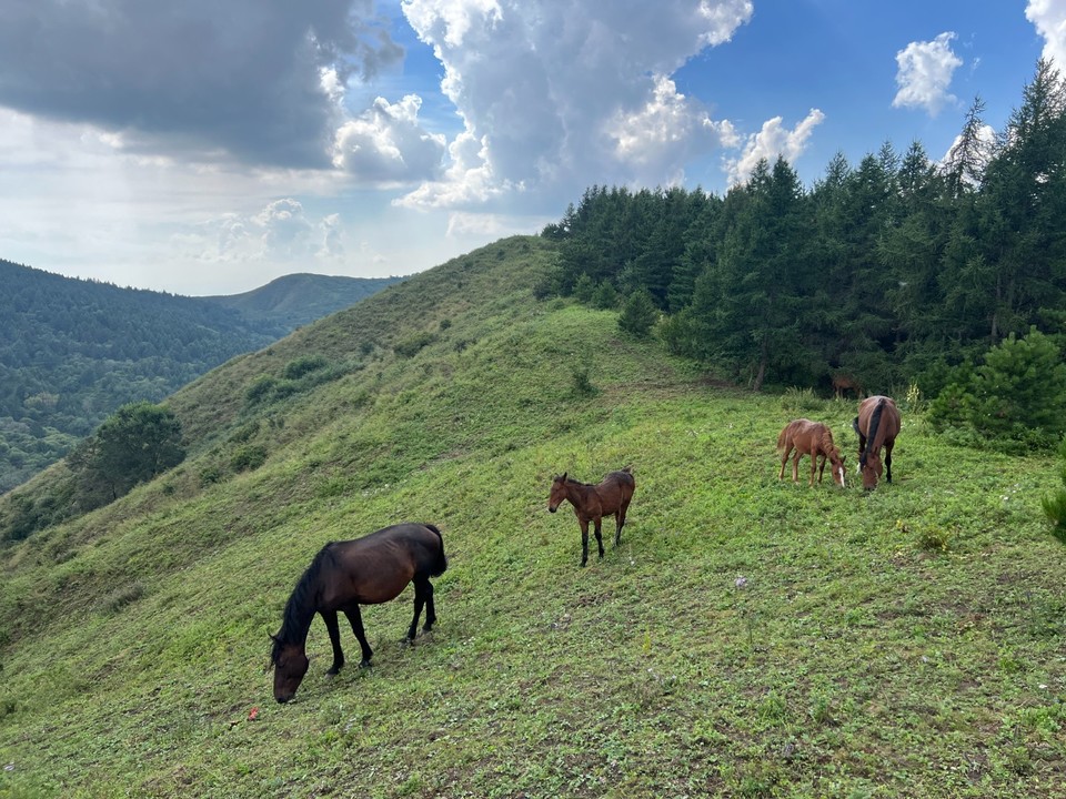 mmexport1756604698419