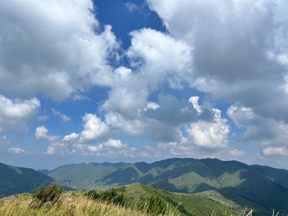 mmexport1756604594257