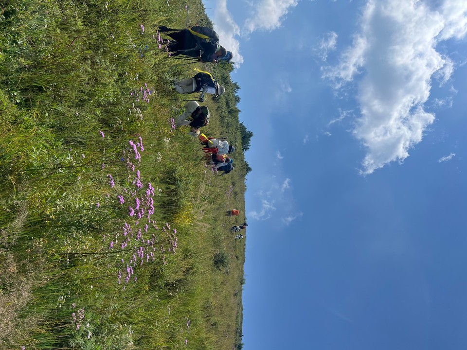 mmexport1756699959846