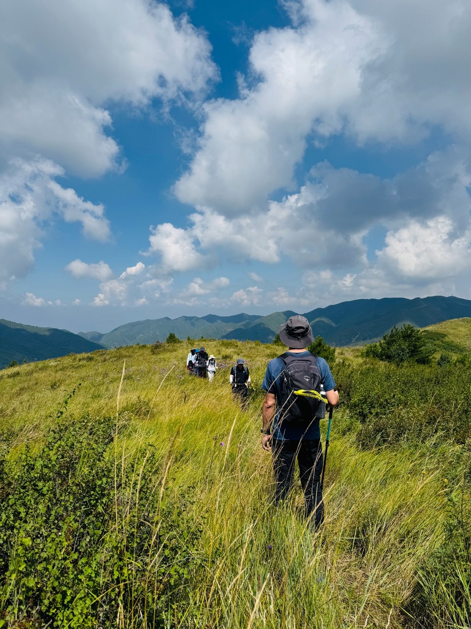 mmexport1756699944501